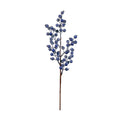 Seasonal blueberry stem