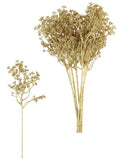 Gold 'Felicity' bud sprig bunch