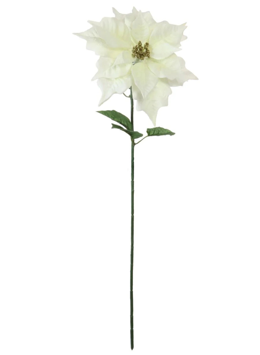 Silk cream poinsettia with gold glitter centre