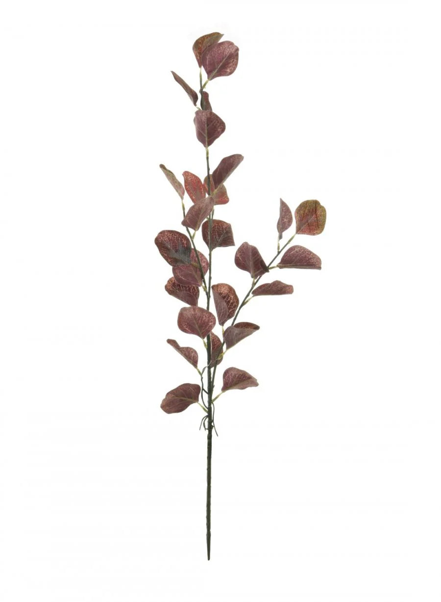 Silver dollar burgundy eucalyptus stem