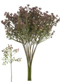 Mulberry 'Felicity' bud sprig bunch