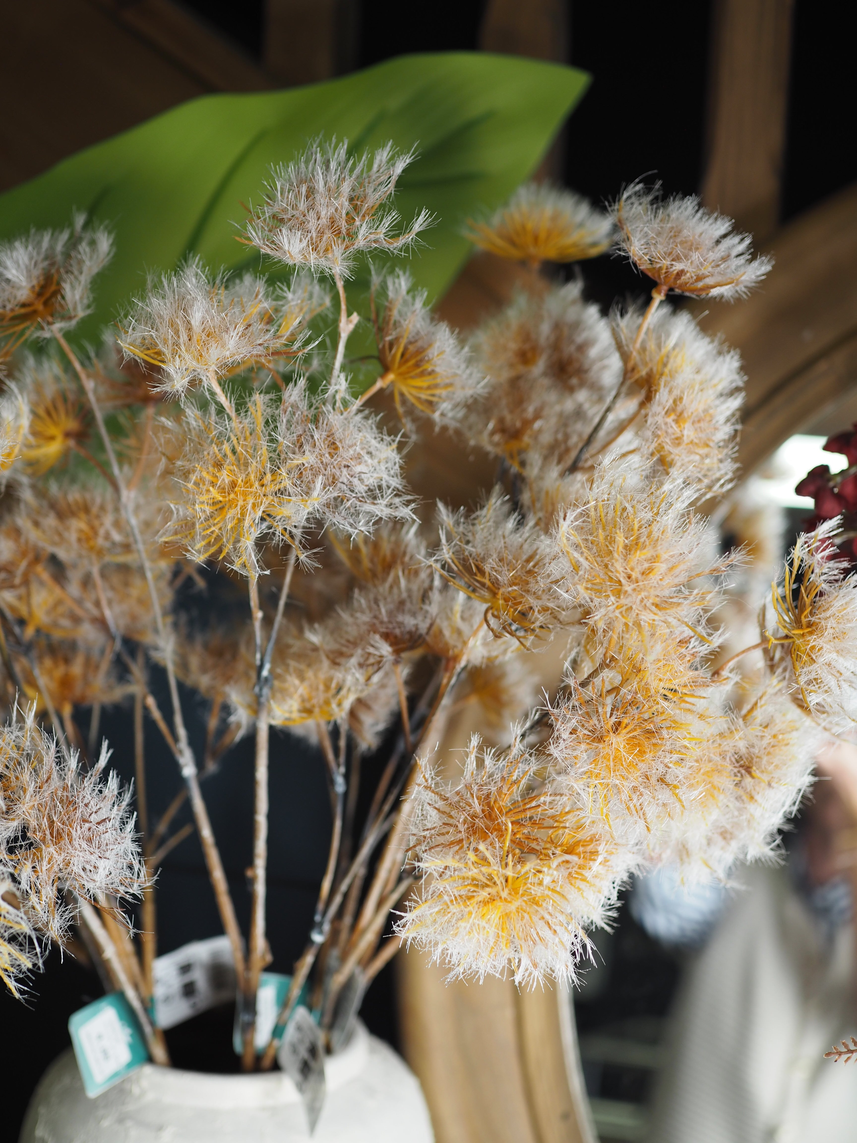 Tall Winter allium stem with flocked finish
