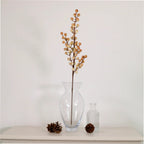 Coffee coloured berry stem