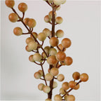 Coffee coloured berry stem