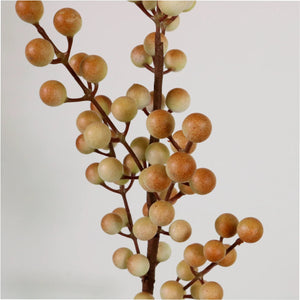 Coffee coloured berry stem