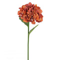 Russett French hydrangea 54cm