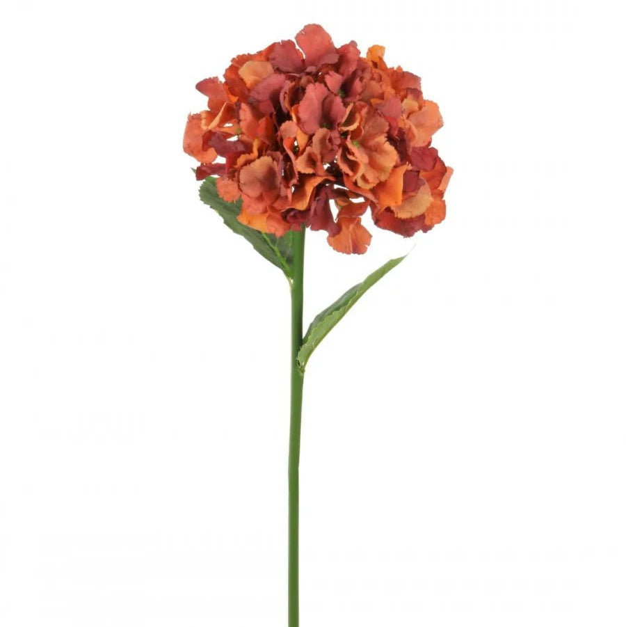 Russett French hydrangea 54cm
