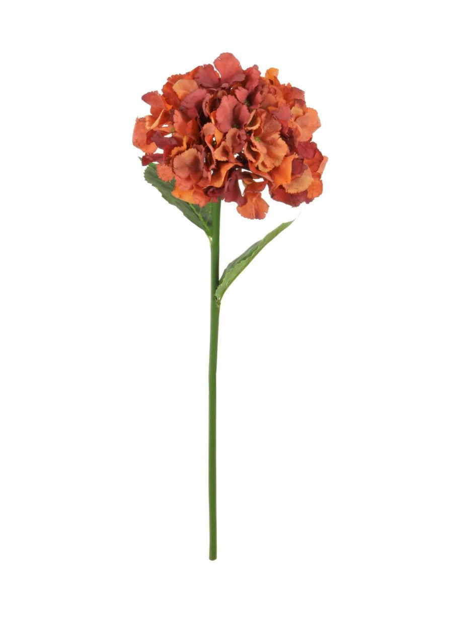 Russett French hydrangea 54cm