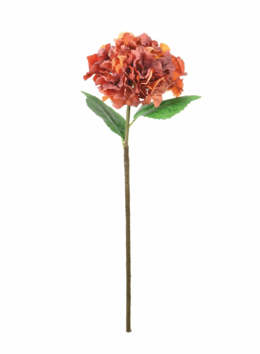 Russett French hydrangea 74cm