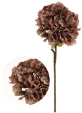 Mocha dried touch ruffled hydrangea