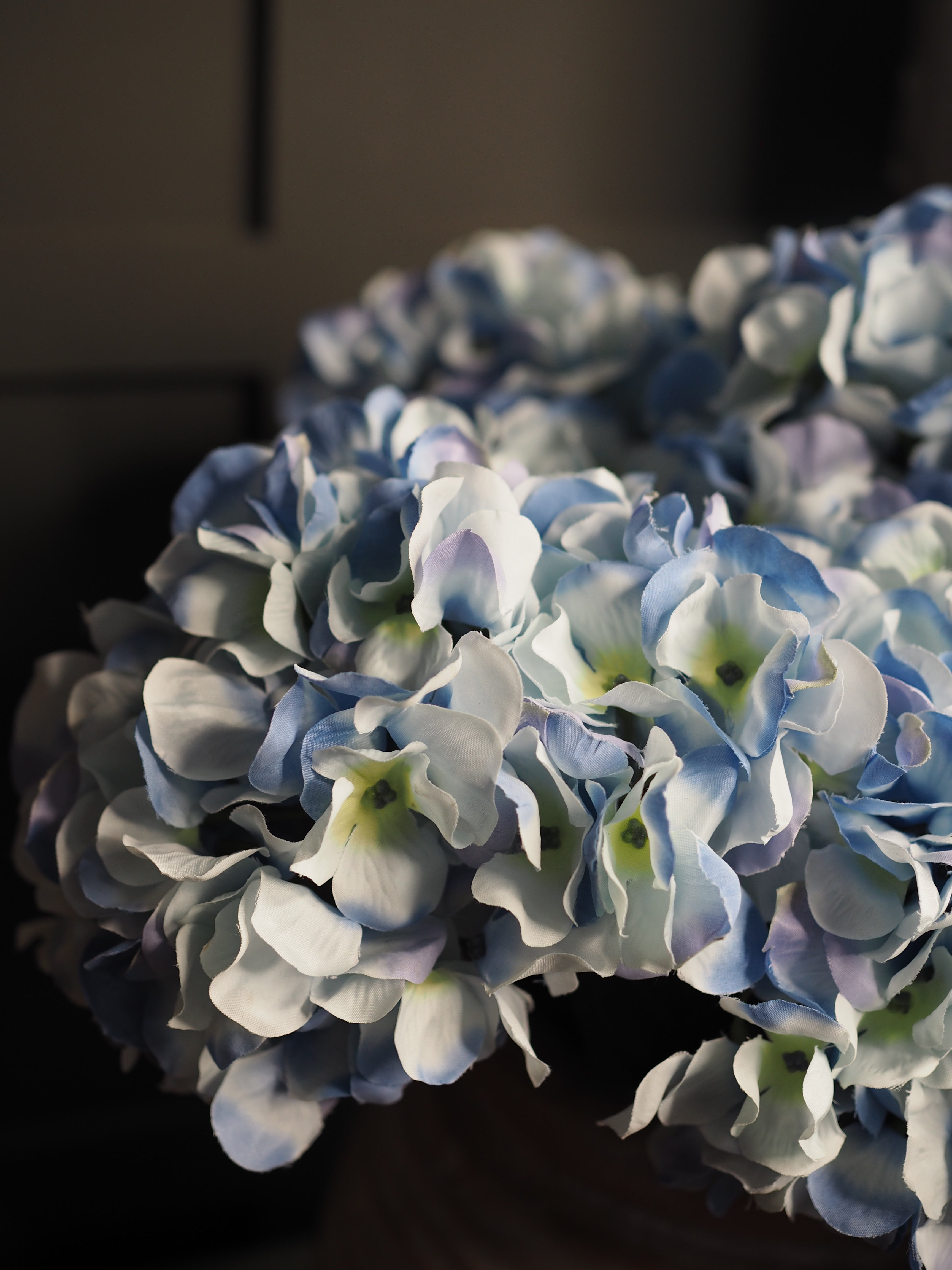 Blue single head hydrangea stem