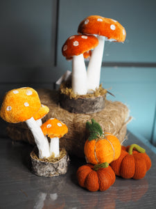 Small velvet orange standing toadstool
