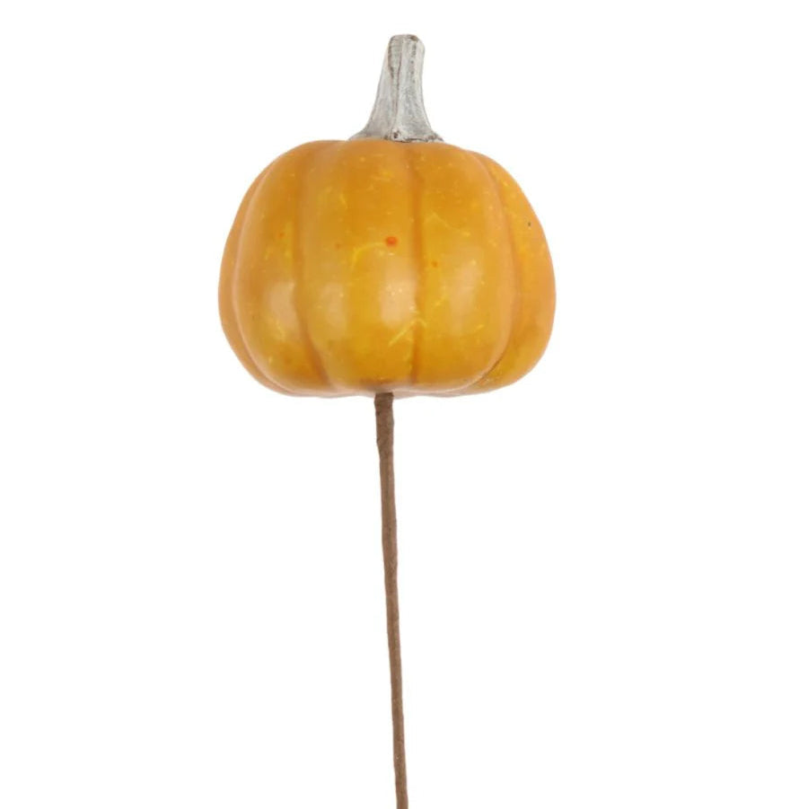 Sunset orange pumpkin pick