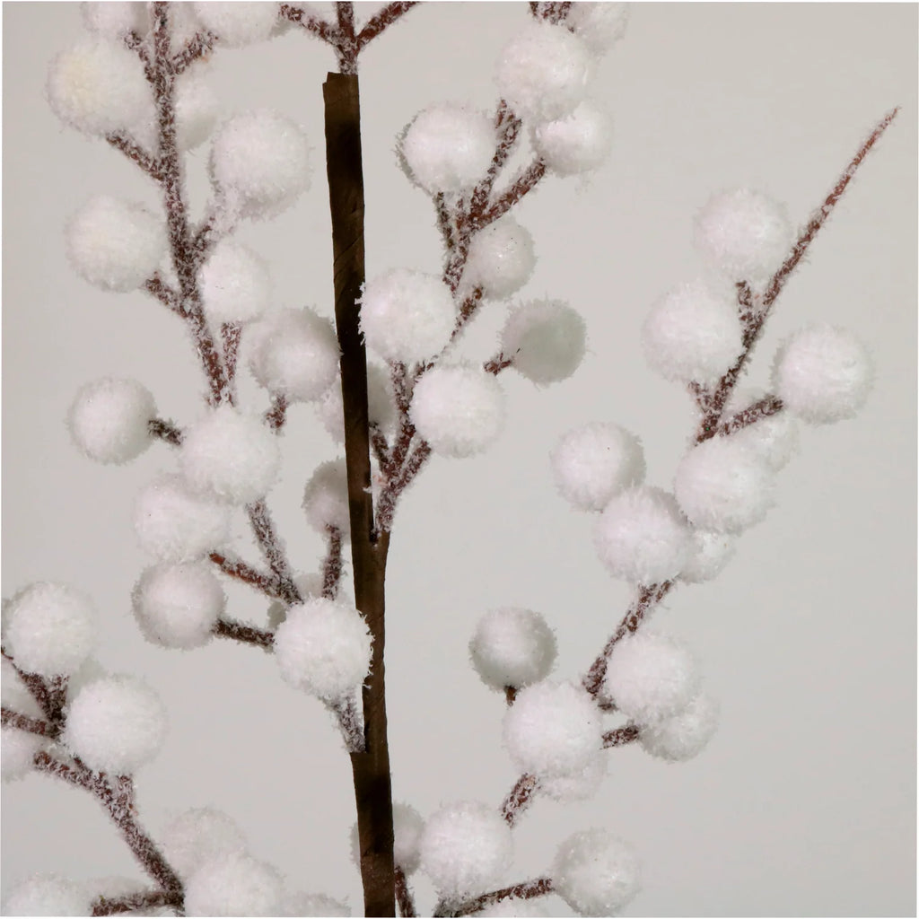 Snow berry stem