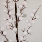 Snow berry stem