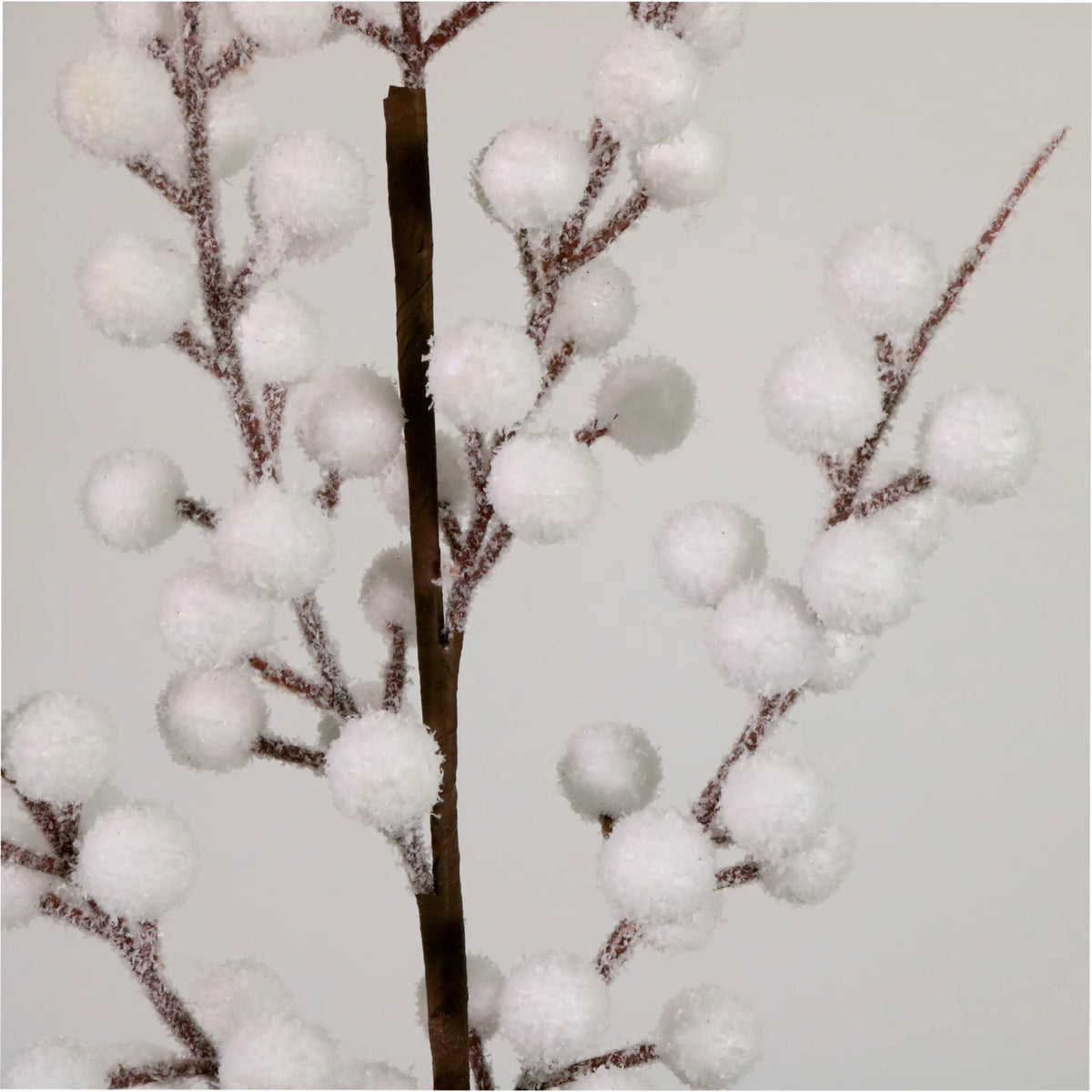 Snow berry stem