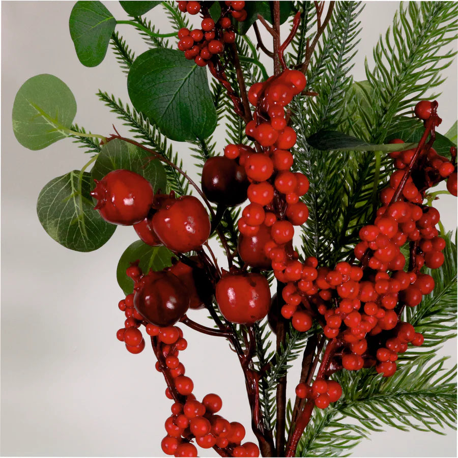Winter premium Merry Berry pick