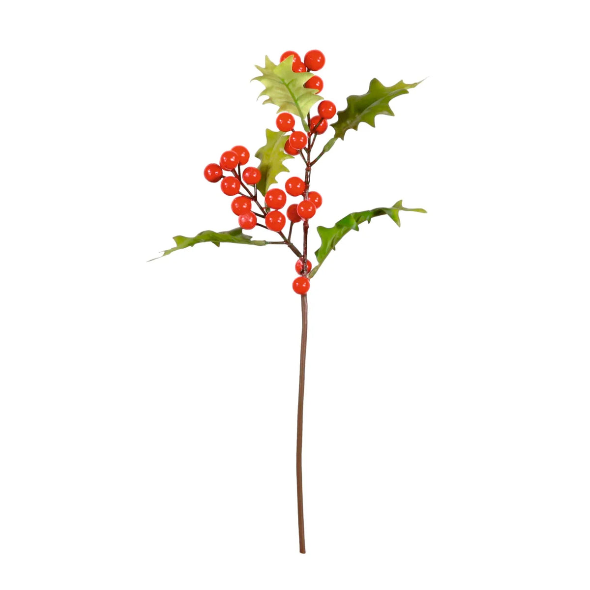Winter holly berry stem