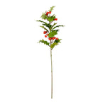 Holly berry stem