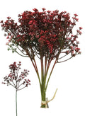 Red 'Felicity' bud sprig bunch