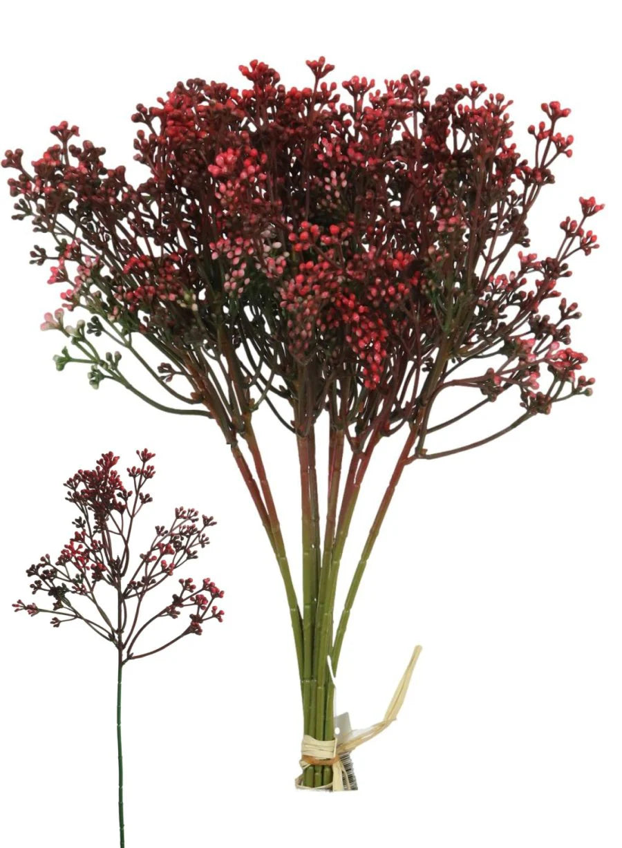Red 'Felicity' bud sprig bunch