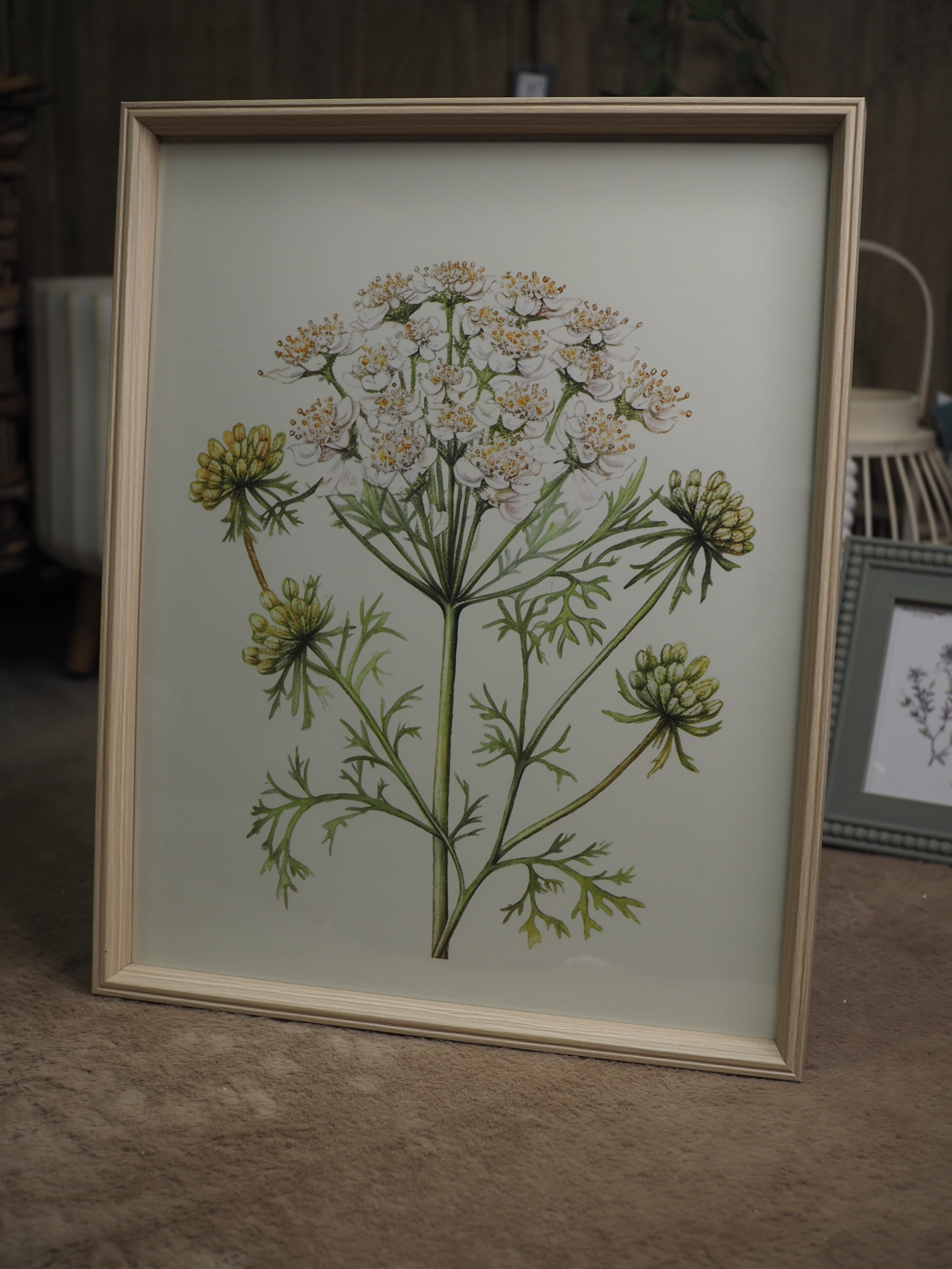 Cow parsley natural framed print (X-large)