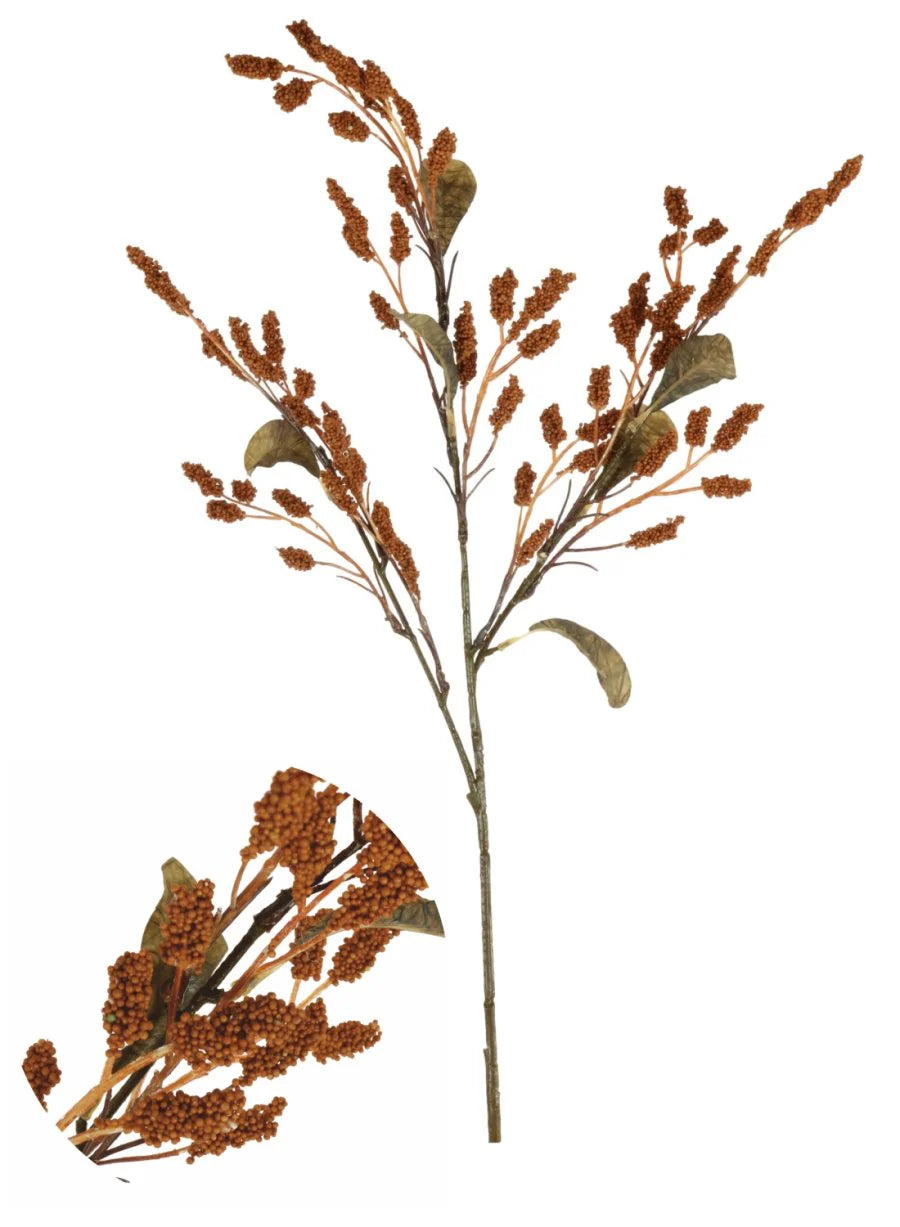 Burnt orange Sorghum spray