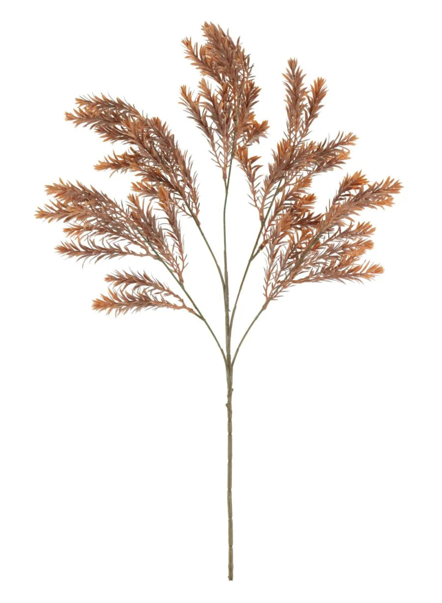 Orange Raven leaf spray