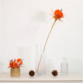 Burnt orange velvet pumpkin stem