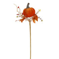Burnt orange velvet wild pumpkin stem