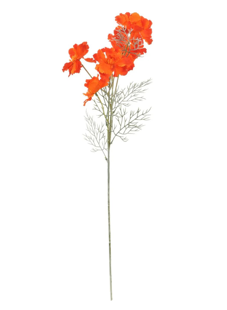 Orange frilly poppy