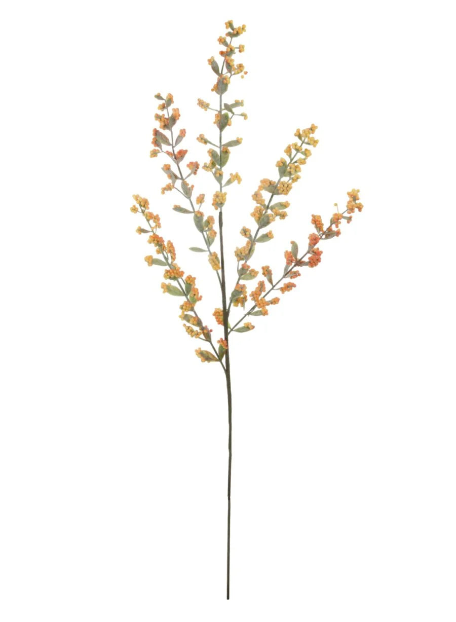 Orange bubble berry leaf spray
