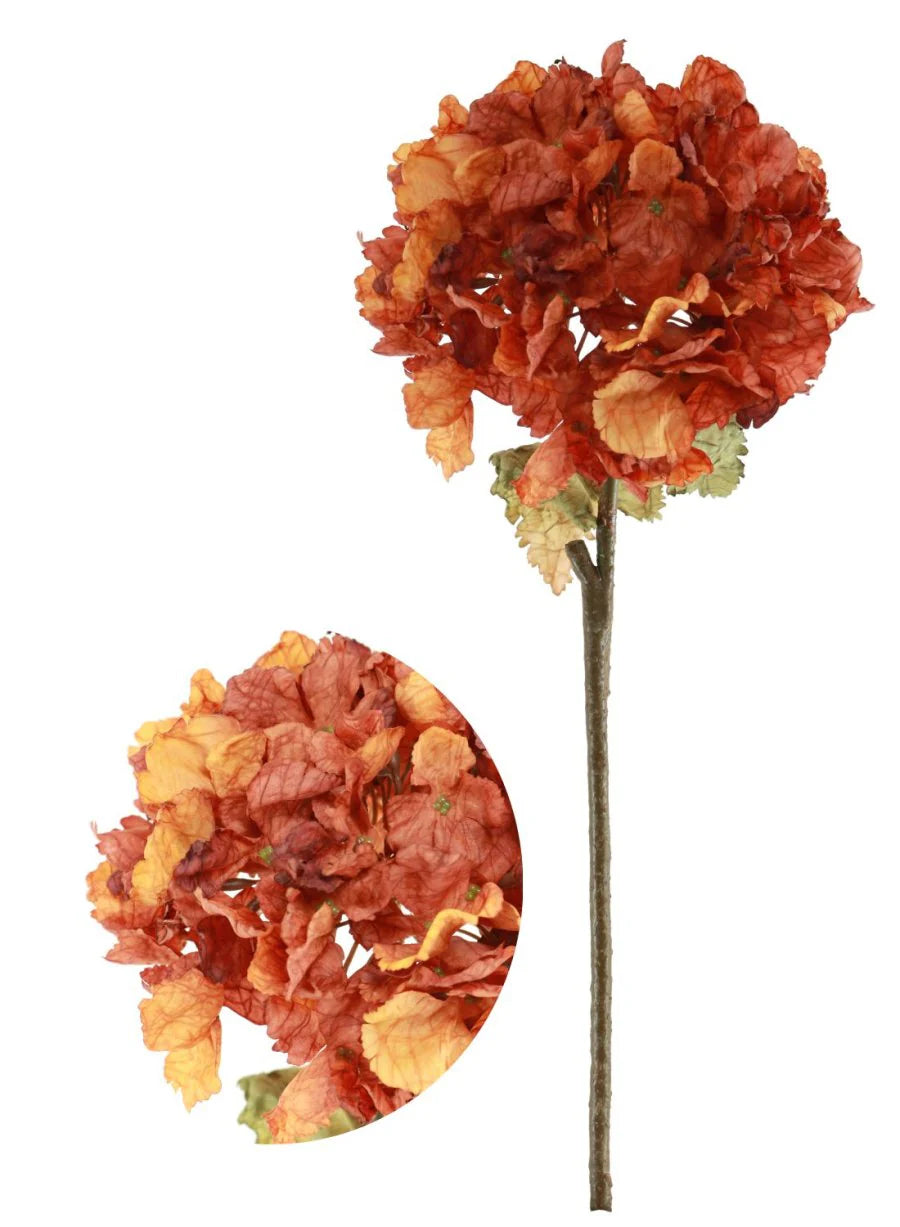 Burnt orange dried touch ruffled hydrangea