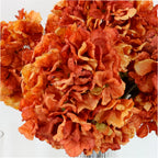 Burnt orange dried touch ruffled hydrangea