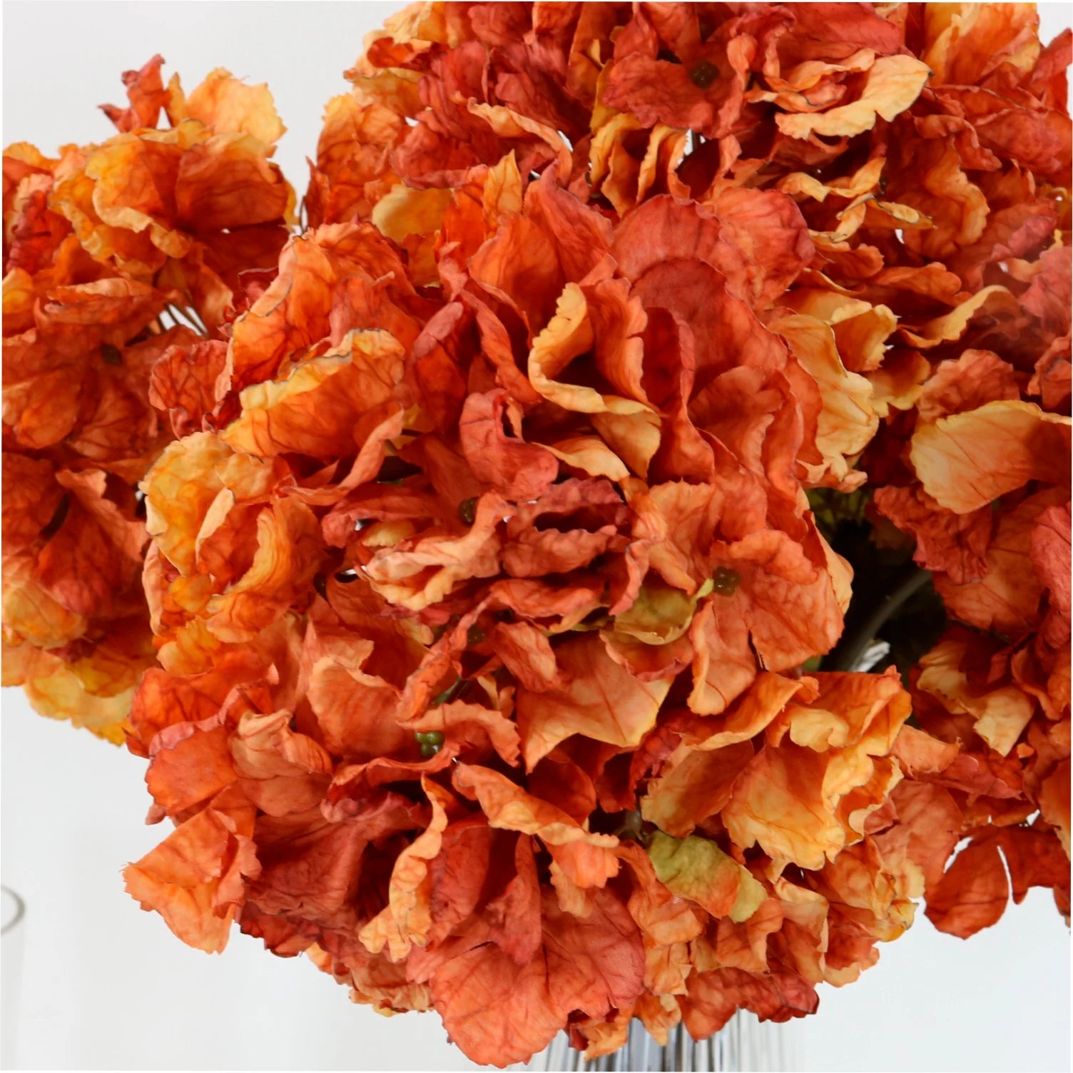 Burnt orange dried touch ruffled hydrangea