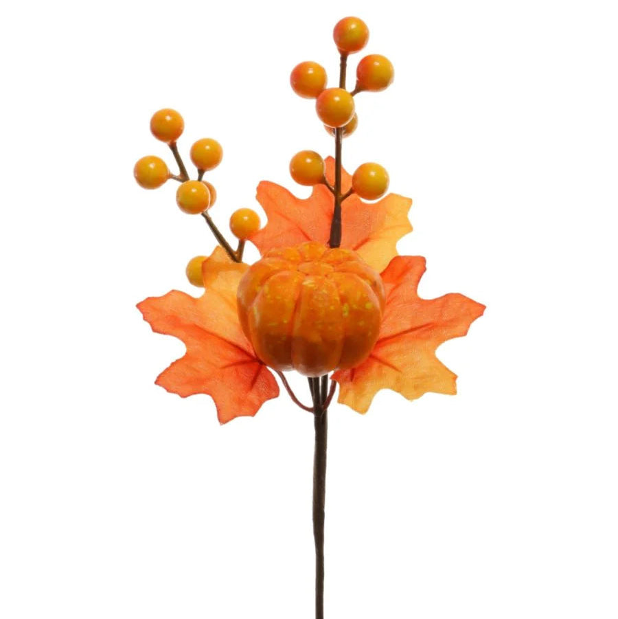 Orange pumpkin and berry pick
