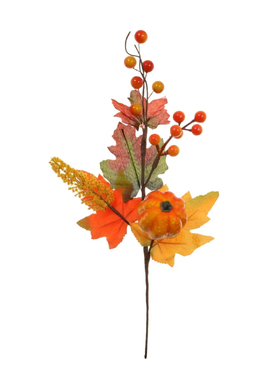 Pumpkin, berry and leaf pick