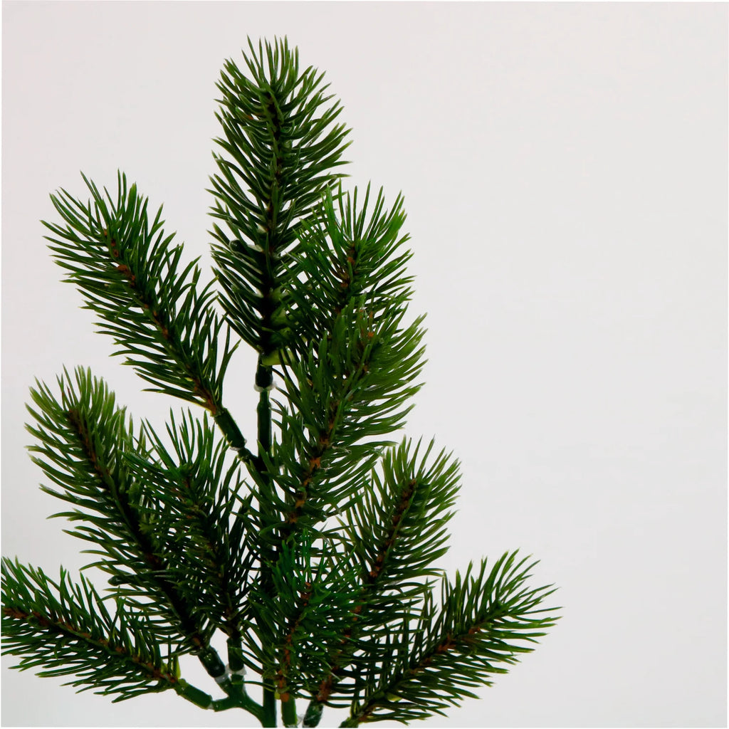 Natural green Christmas spruce spray