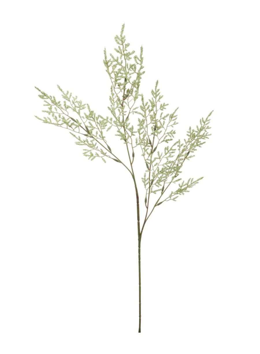 Green Limonium spray