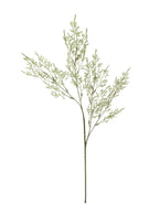 Green Limonium spray