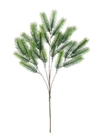 Dark green Christmas spruce spray