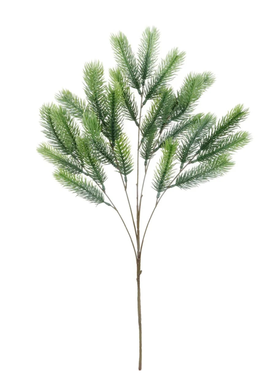 Christmas spruce branch light green