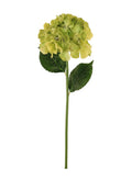 Silk French hydrangea in pale green