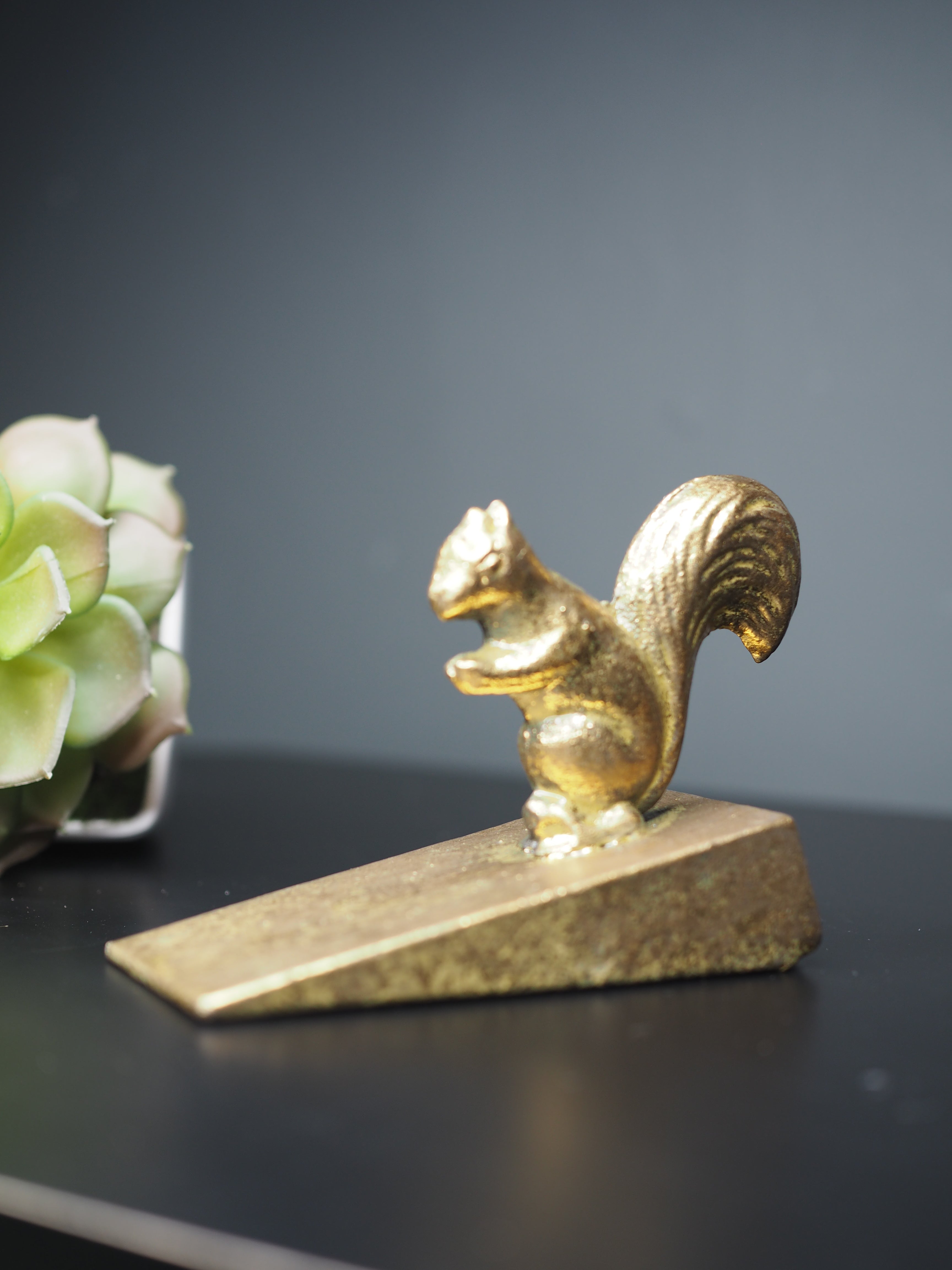 Squirrel door wedge