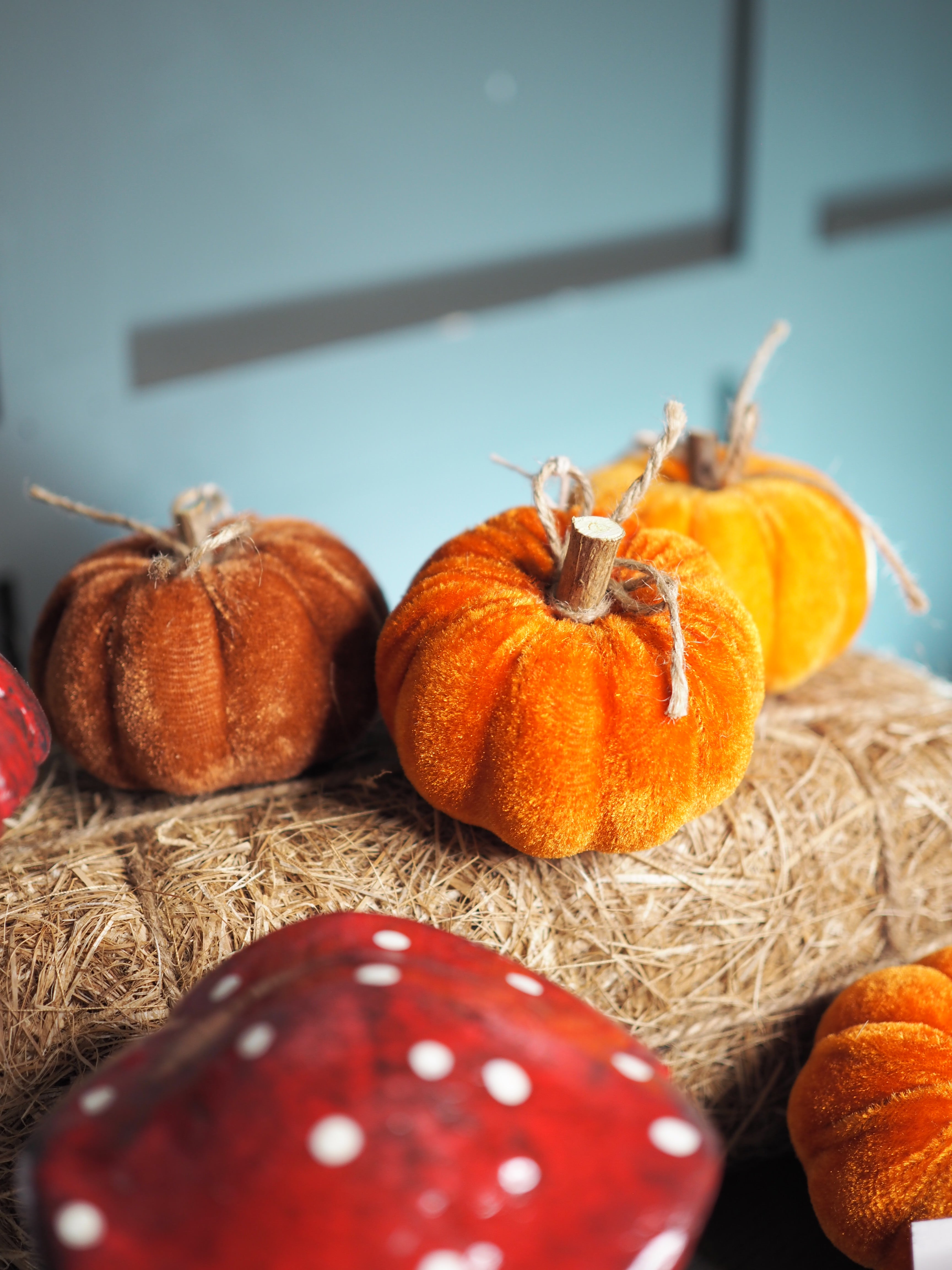 Small orange and brown velvet pumpkins