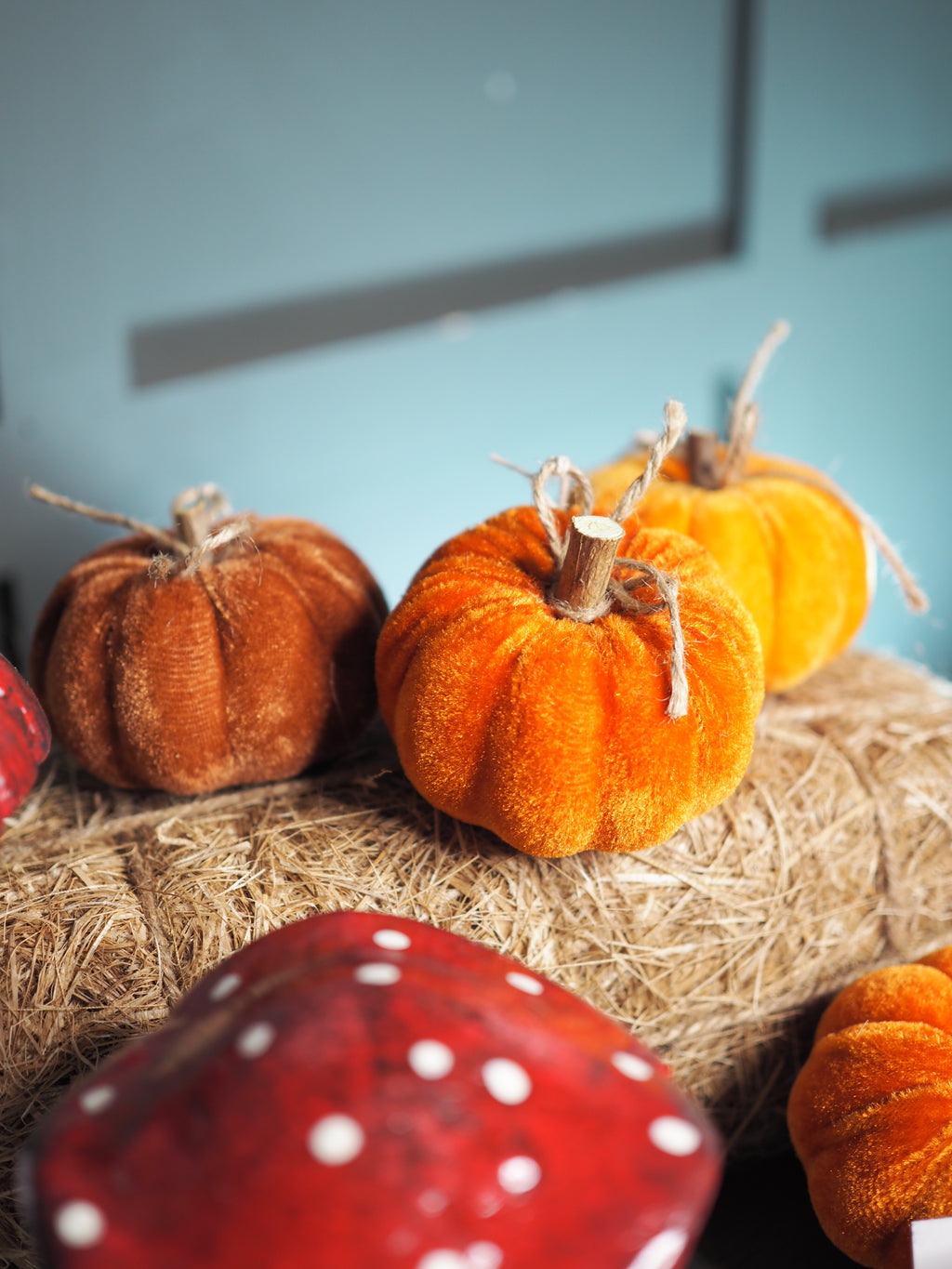 Small orange and brown velvet pumpkins