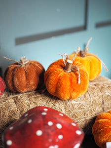 Small orange and brown velvet pumpkins