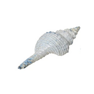 Shell ornament