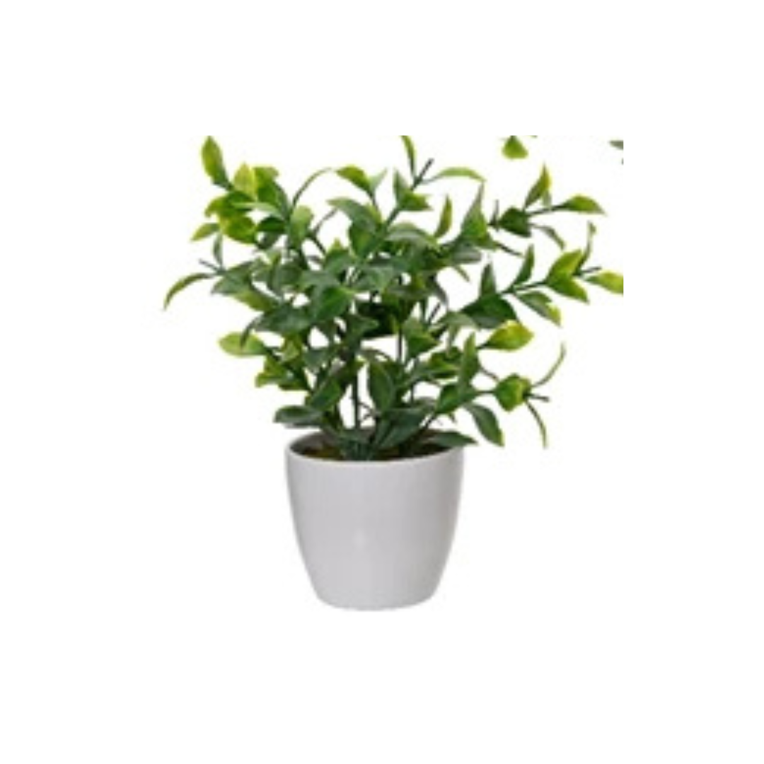 Faux plant in white pot