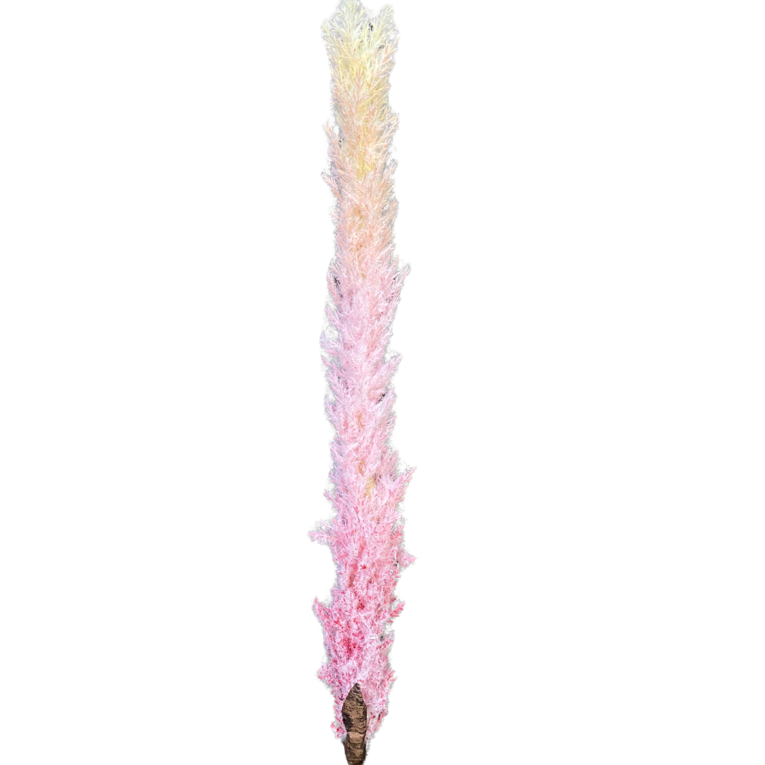 Long ombré pink pampas grass